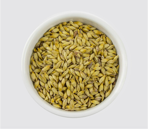 🚨New Product Alert!!🚨 Muntons Dextrin Malt adds body and head retention without adding flavor. It's a great addition to light or lower attenuated beers. Lovibond: 10-15
.
.
.
.
Muntons USA 
#passionateaboutmalt #muntons #drinklocal #iowabeer #muntonsmalt #craftbeer #beerstagram