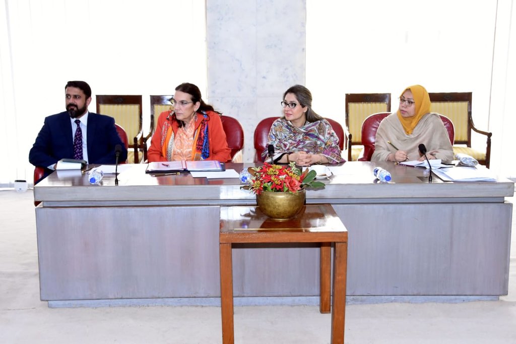 NA_PFG's tweet photo. EU-Pak Parliament meeting was held today. EU has worked extensively for strengthening democracy in Pakistan. These collaborations channelise future goals. https://t.co/TcL6CxERjD