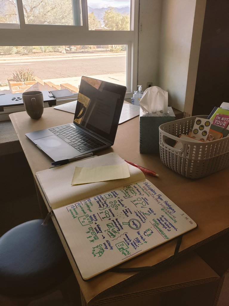 BlakistonR's tweet photo. Appropriately, I'm watching the #D4D20 livestream from my home office prototype. Yes, that's a cardboard table. #coronavirus https://t.co/OsZ4uMaoeL