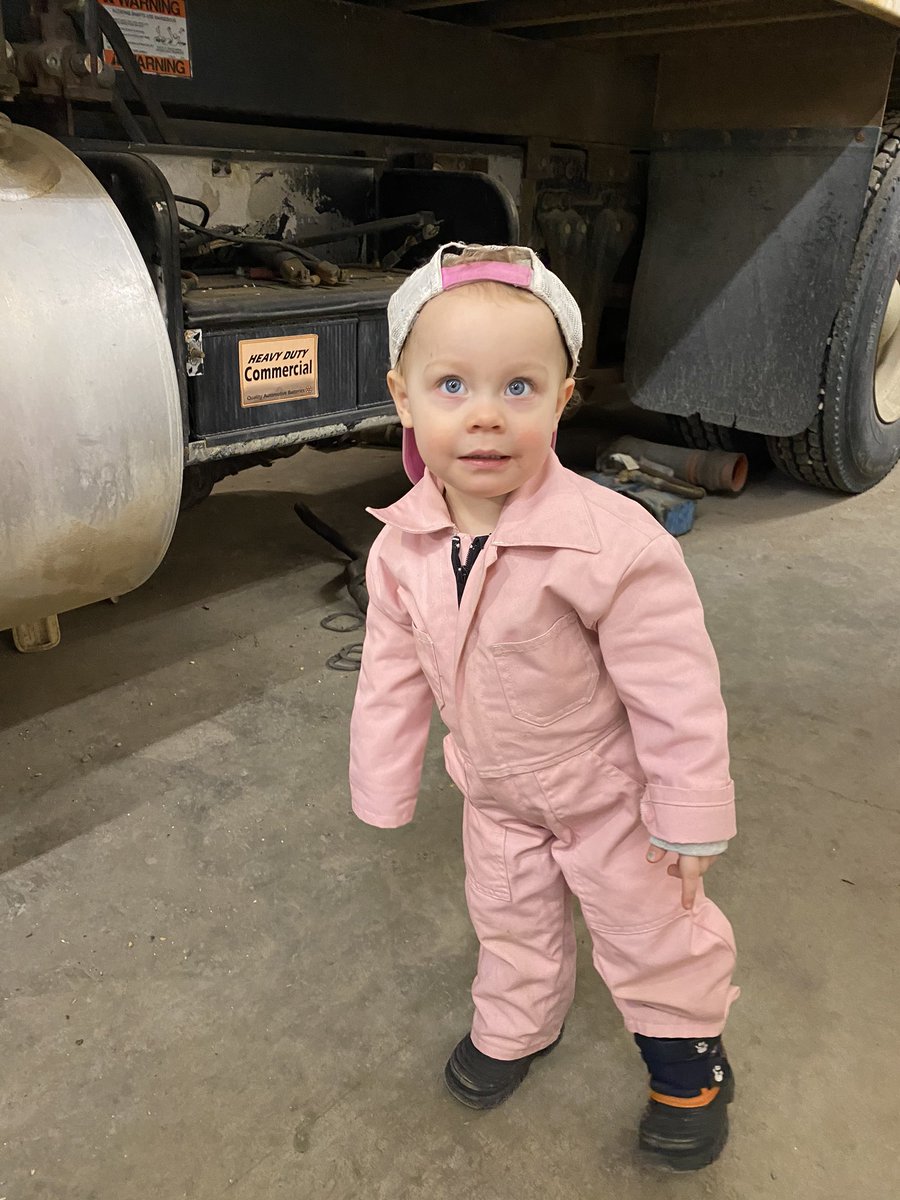 FarmLynch's tweet photo. Farmer Ivy was busy at the shop last week https://t.co/eJ7At7iIns