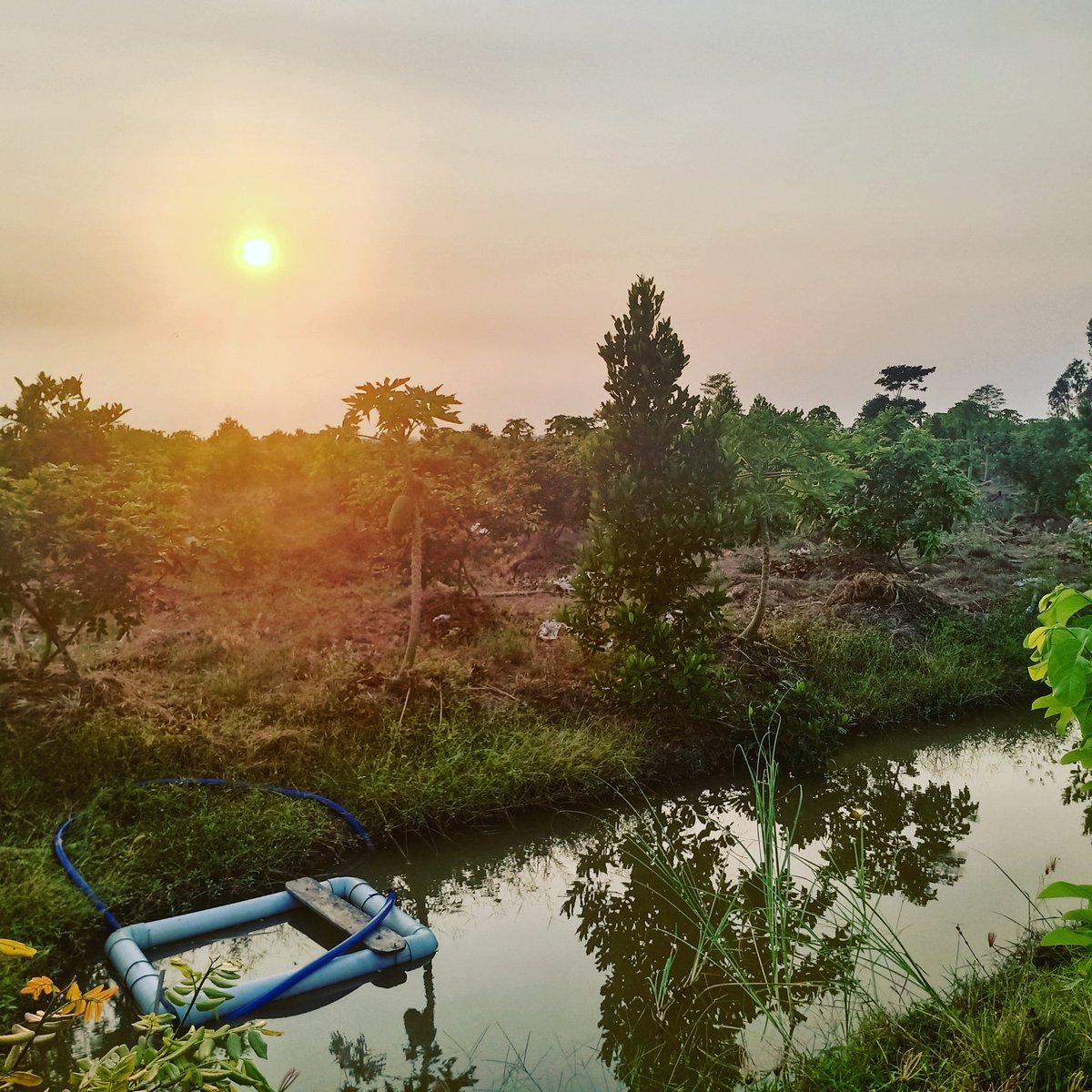 D06737480's tweet photo. https://t.co/3CaE1NlNwt https://t.co/HUmFV0Blbg