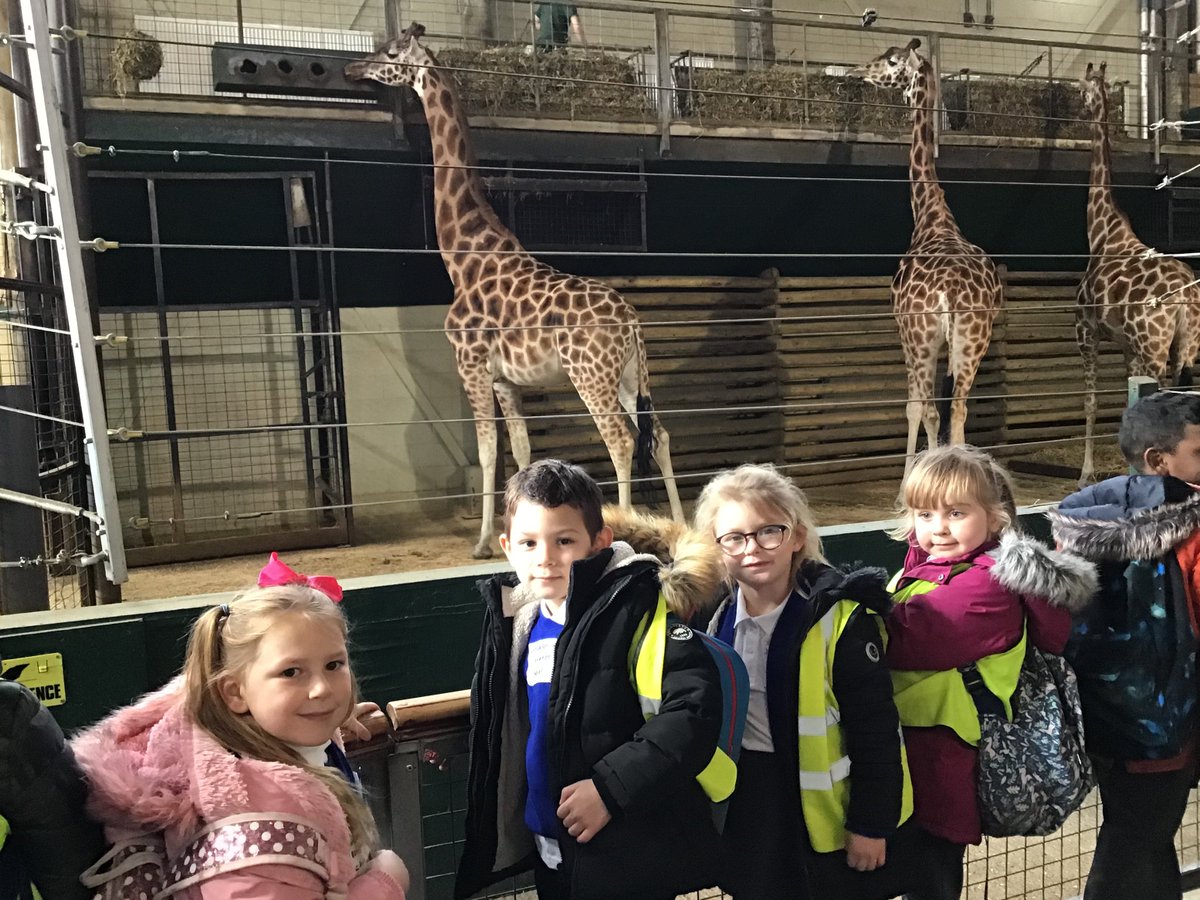 LancastrianInf1's tweet photo. Year 1 had an exciting adventure at Marwell Zoo yesterday ready for their work on animals and their habitats. https://t.co/zbKpv6N0E7