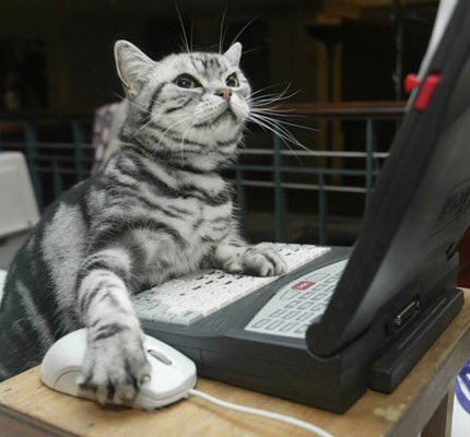 CACRCRecycles's tweet photo. This week at CACRC come by and save 10% off of any desktop/laptop in the store. 
Also, don't forget that parents of school children qualify for desktops for kids program! Bring proof of your child in school such as a report card/school ID and get a COMPLETE desktop for just $50! https://t.co/yYZIRrLCg6