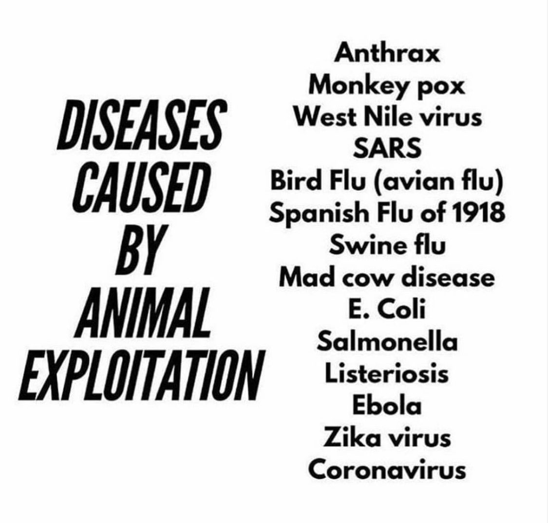 PlanetKashyapi's tweet photo. Do vegans need to say anymore? https://t.co/WhnHLRTZ3E