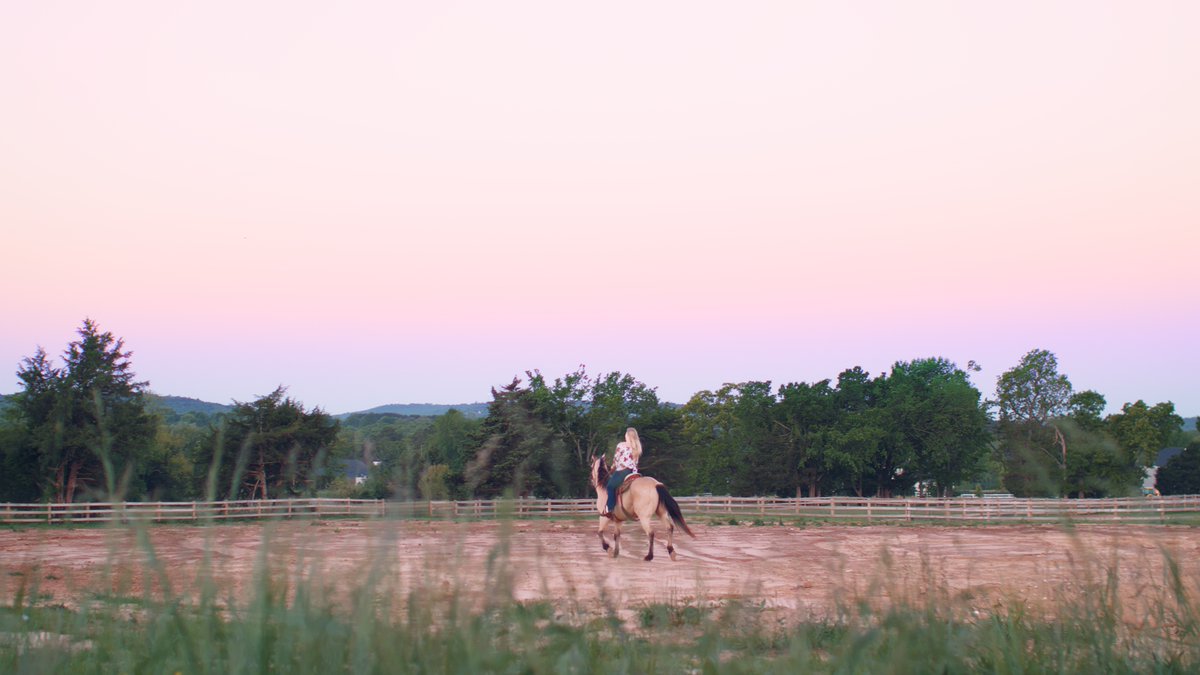 Element Studio tweet media