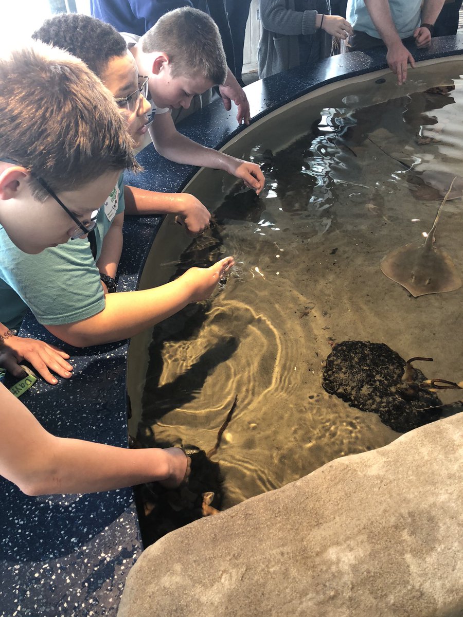 rcarp_csms's tweet photo. 6th graders enjoying the South Carolina Aquarium! @CSMS_Huskies #huskiesexploretogether https://t.co/UA1RjiOa3X