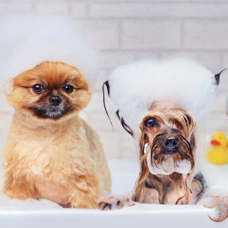 GlamGeek's tweet image. Best Moisturising Shampoo's for 2020 -ow.ly/Ek9a50yHYrd #shampoo #beauty #haircare