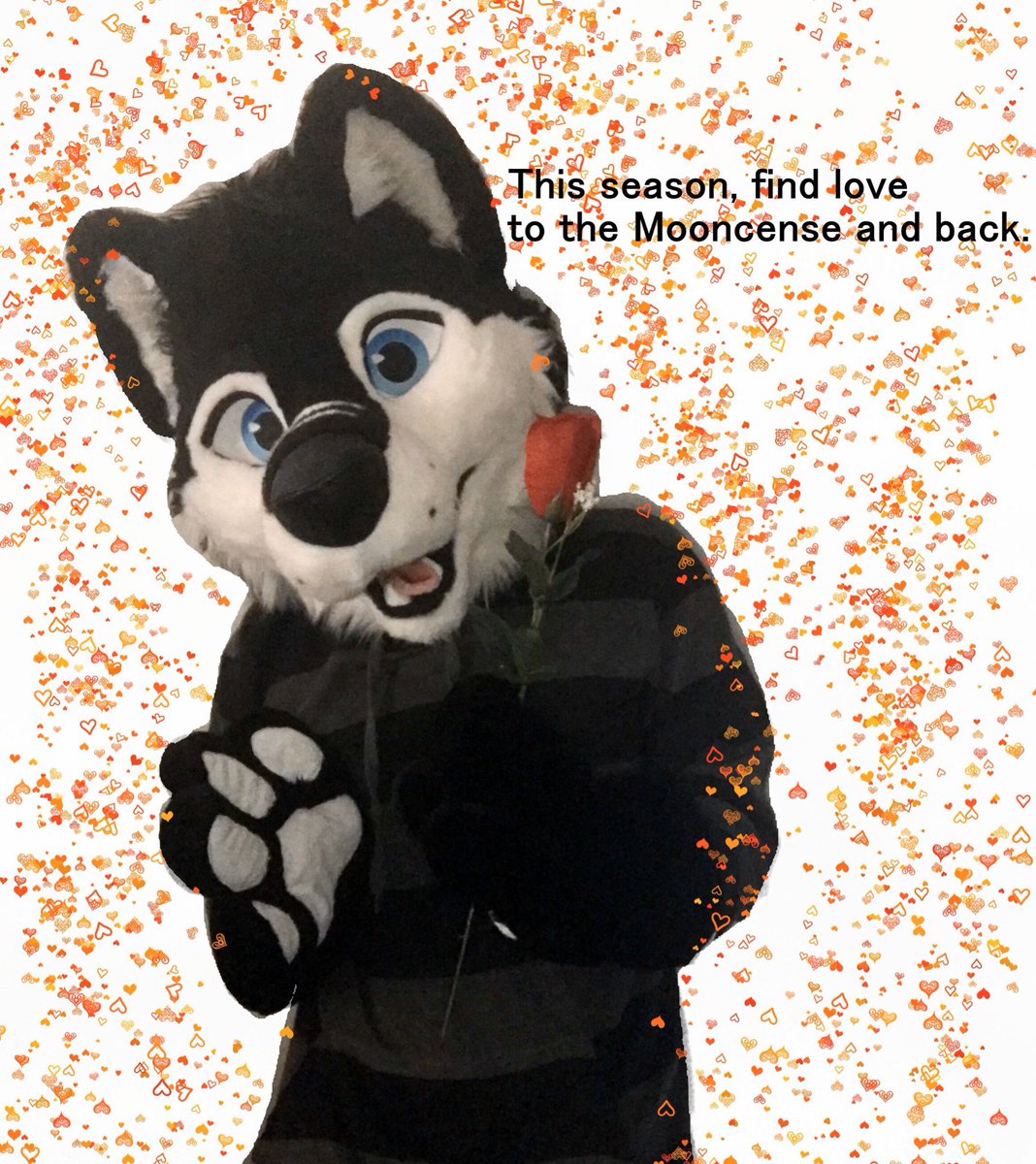 moonyskolf's tweet photo. Will you accept the rose and continue rocking my world? ❤️🌹

#TFCTuesday #FursuitFriday https://t.co/cVzL9ou9s6