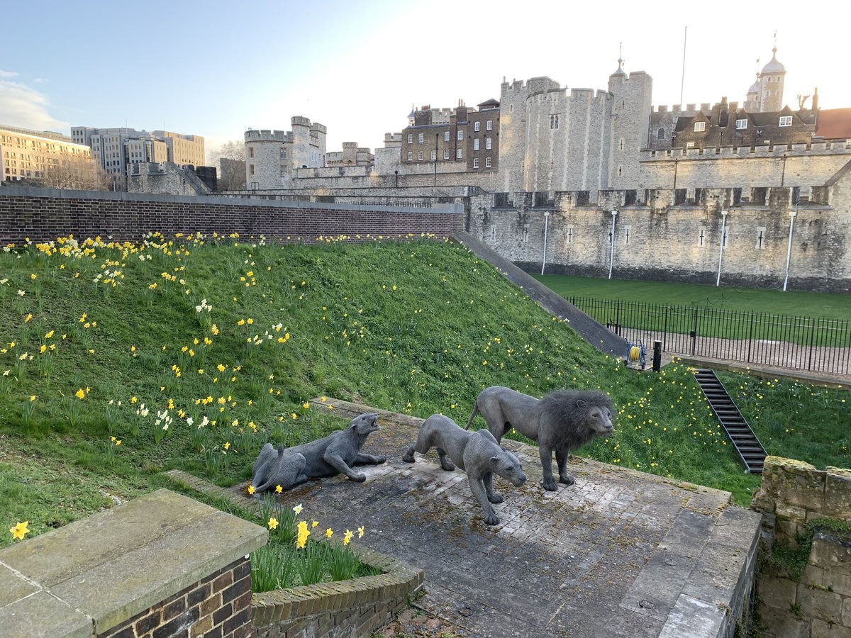Staying positive... Spring is in the air ⁦<a href="/TowerOfLondon/">The Tower of London</a>⁩ 🌼