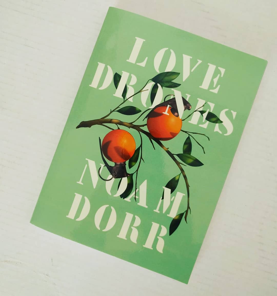 WH_Review's tweet image. In our super biased opinion: prettiest books on the bookfair floor :: some of the books out this #AWP20 by current and past U of U students #AWPvirtualbookfair @sarabandebooks @AliceJamesBooks @TCPBRD @pankmagazine