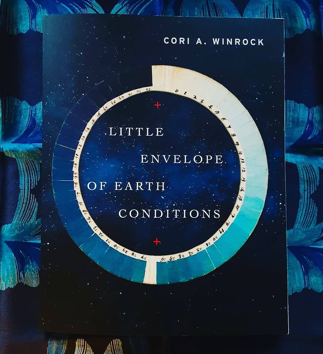 WH_Review's tweet image. In our super biased opinion: prettiest books on the bookfair floor :: some of the books out this #AWP20 by current and past U of U students #AWPvirtualbookfair @sarabandebooks @AliceJamesBooks @TCPBRD @pankmagazine