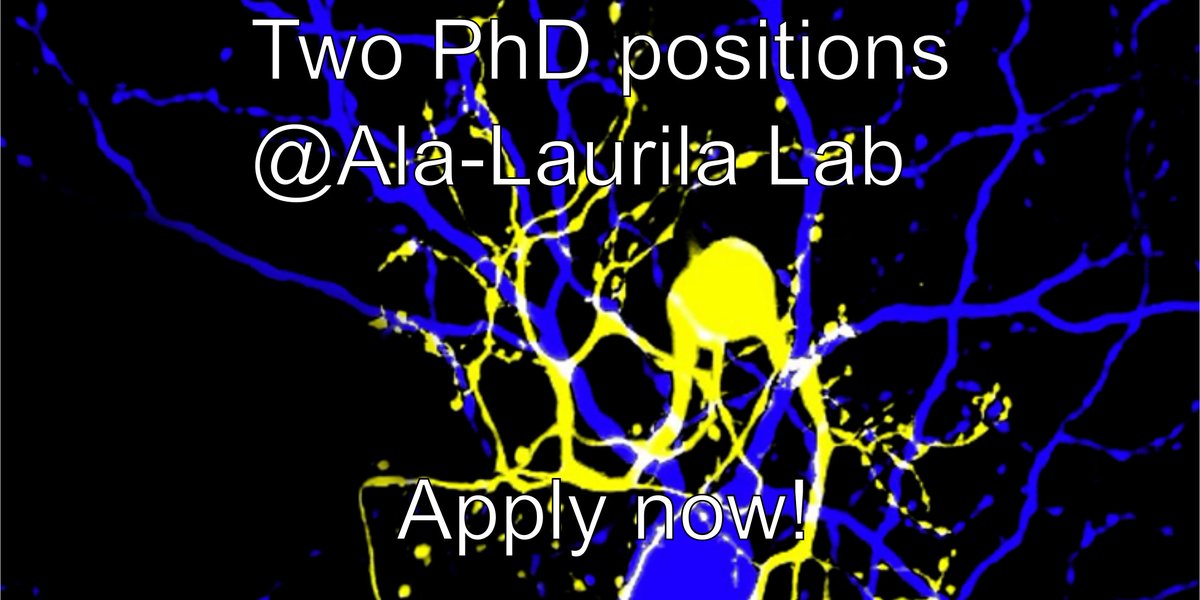 RT: My Lab has two PhD positions available for a project linking retinal circuit function to behavior. These positions are part of #Horizon2020 training network ENTRAIN VISION (For more info: ala-laurila.biosci.helsinki.fi/#open_positions #Neuroscience <a href="/AaltoUniversity/">Aalto University</a>
 <a href="/helsinkiuni/">University of Helsinki</a> #Helsinki #Finland