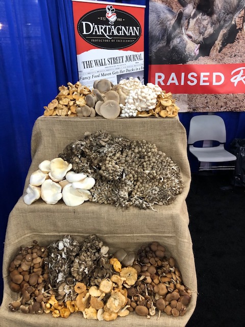 KontosFoods's tweet photo. More from @ThefoodShows, which wraps up today. #CCSCreative, which makes these wooden trays for catering & and beautiful mushrooms from #Dartagnan. Thanks to everyone who visited us. Till next year! 👋
All Kontos flatbread is made in the USA. 🇺🇸
#NYRestaurantShow https://t.co/FjS6g4gCra