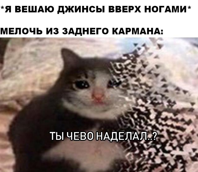 ESwvAn_XYAAFaHr?format=png&name=small