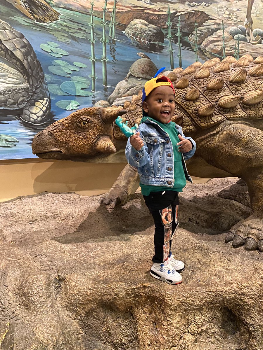 DeejahDiamonds's tweet image. happy birthday to my baby Aladdin aka Dino Boy on his awesome day! may you live as long as a dinosaur baby 🦕 🦖! #THEBIGTHREE