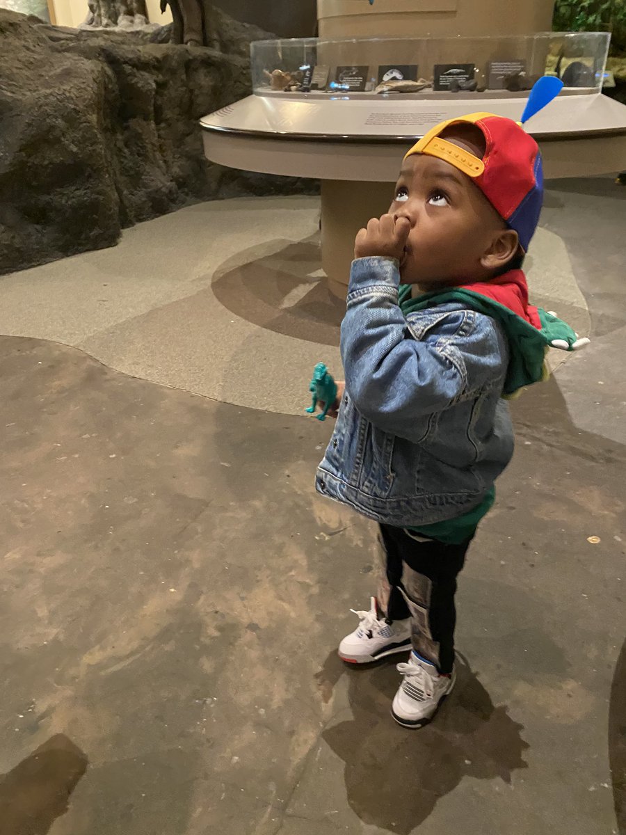 DeejahDiamonds's tweet image. happy birthday to my baby Aladdin aka Dino Boy on his awesome day! may you live as long as a dinosaur baby 🦕 🦖! #THEBIGTHREE