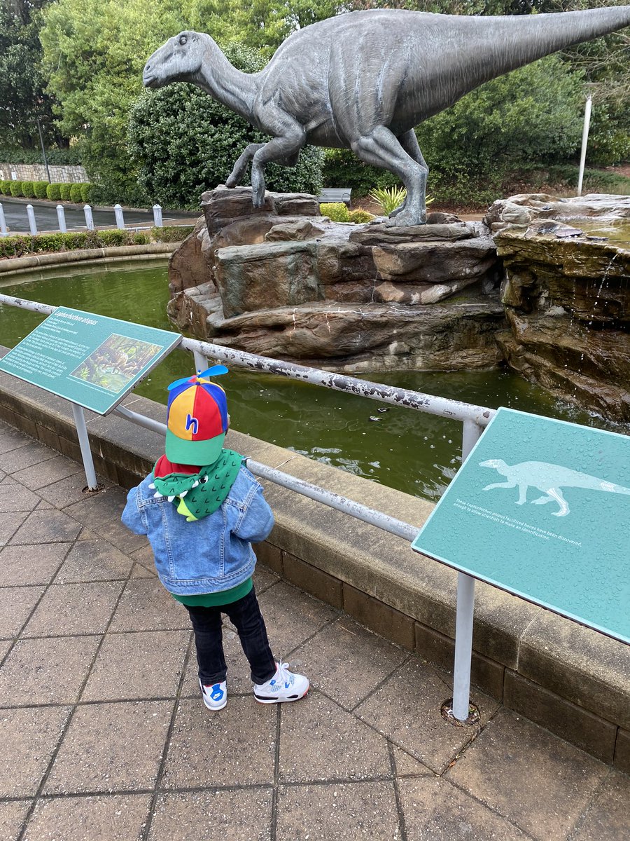 DeejahDiamonds's tweet image. happy birthday to my baby Aladdin aka Dino Boy on his awesome day! may you live as long as a dinosaur baby 🦕 🦖! #THEBIGTHREE