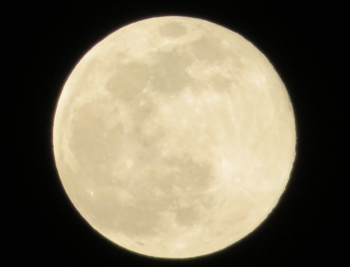 almelou's tweet photo. #FullWormMoon #Weather #SuperMoon #March2020 #fullmoon #photooftheday #morning @weathernetwork @ThePhotoHour #nlwx https://t.co/HP6k1fVX8L