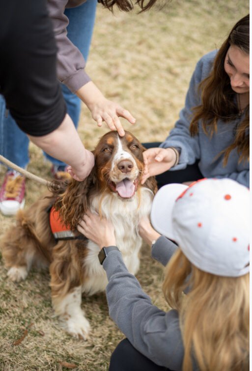 AUMLIVE1's tweet photo. Take a look at how the Pups &amp; Cups event went yesterday! 🐶🧁🧡The dogs definitely got some good shots from the pup-arazzi 📸🧁#AUMfamily #goWarhawks #community https://t.co/73HBrNfmao
