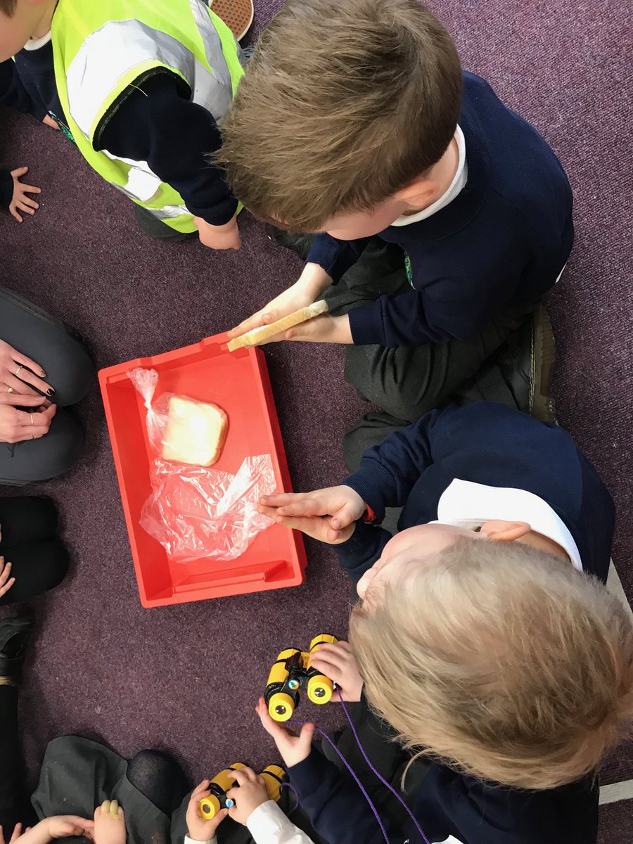 scps_foundation's tweet image. Fs1 carried out an experiment this afternoon to see how germs grow! We touched one slice of bread and kept one clean. We will see what happens tomorrow! #fs1 #springcottagescience #springcottageeyfs