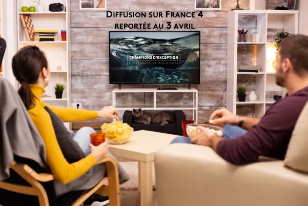 🚨INFO DERNIERE MINUTE : Report de Champions d'Exception au 3 avril 📢 #paratriathlon 🏊🚴🏃🏻‍♂️ #boccia 🎱 #paratirsportif 🔫 - mailchi.mp/888d49c0b7b1/c…