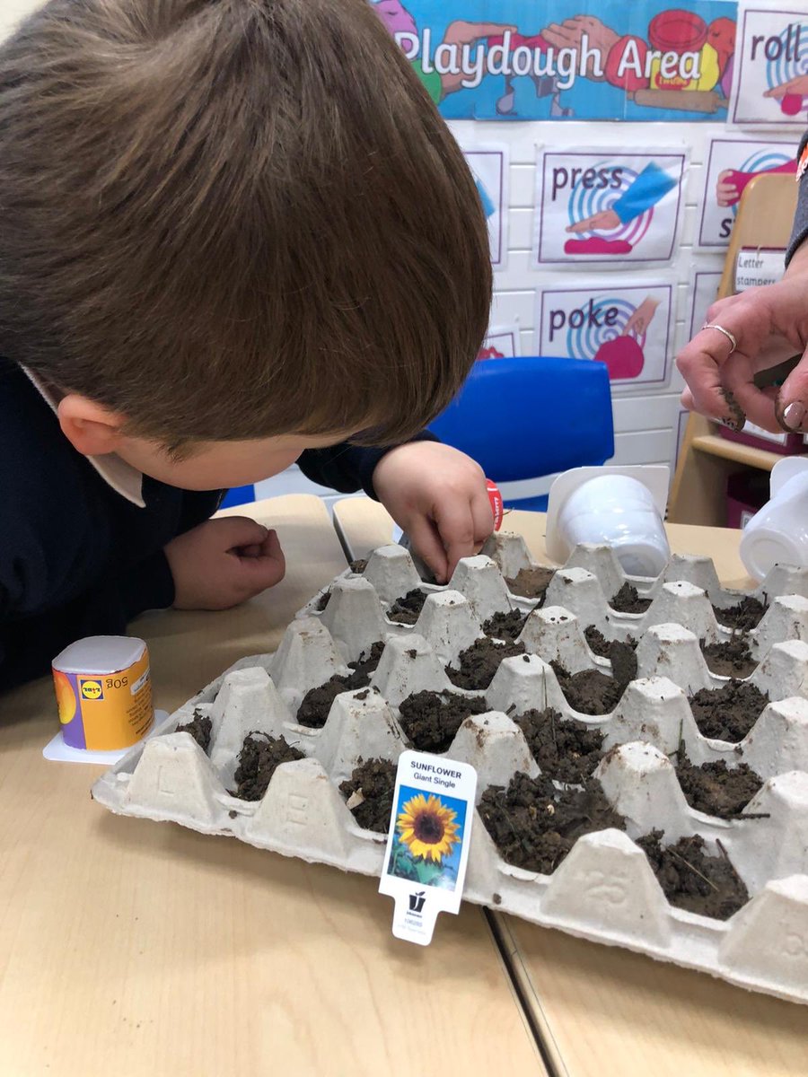 scps_foundation's tweet image. More seed planting! #fs1 #springcottagescience #springcottageeyfs