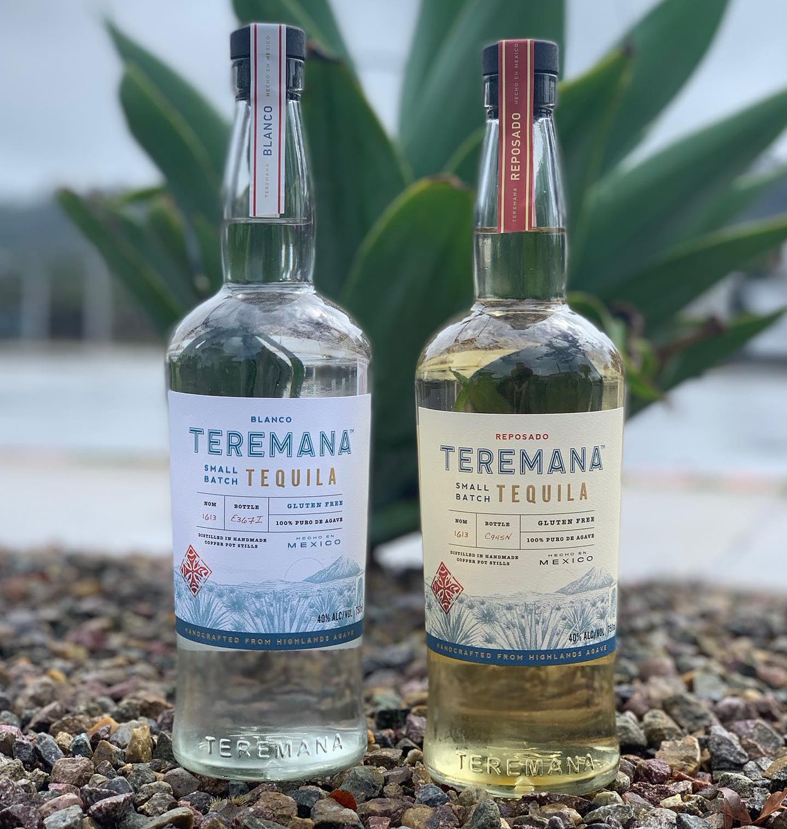 Del Mesa Liquor Go One On One With The Great One S Teremana Tequila Therock S Ultra Premium Small Batch Highlands Teremanatequila Is Crafted In An Authentic And Uncompromising Manner Truly The Tequila