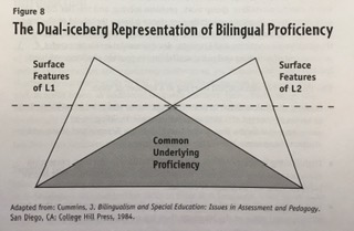 Andrea Fallscheer tweet media