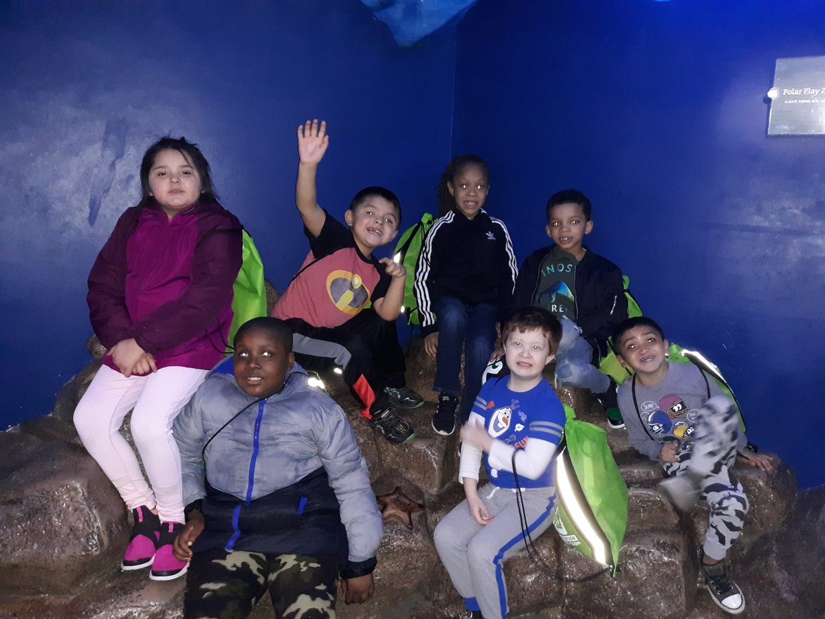 SingletonD86's tweet photo. #TodayatSingleton Singleton students had so much fun at the Shedd today! ¡Las estudiantes de Singleton se divirtieron mucho en el Shedd hoy! #d86hope https://t.co/0aH4tSpT7q