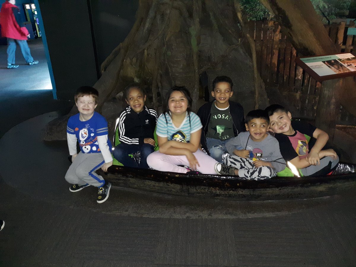 SingletonD86's tweet photo. #TodayatSingleton Singleton students had so much fun at the Shedd today! ¡Las estudiantes de Singleton se divirtieron mucho en el Shedd hoy! #d86hope https://t.co/0aH4tSpT7q