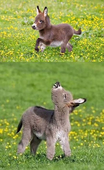 随時更新 Twitterで話題のツイートまとめ 26ページ目 Togetter