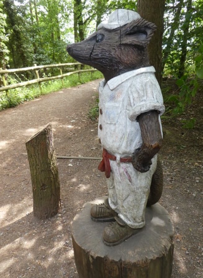 RattyVole's tweet photo. I can’t sleep. So excited about #roathbrooktrees.

I hear they’ve some money left over for some form of commemorative gesture. 

Just thought I’d mention that last time I posed I’m not sure they caught my best side https://t.co/Pj7eWlfdxx