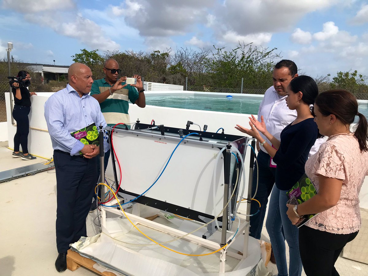 Bianca_Aruba's tweet photo. So cool to see this development of the algaepark on Bonaire! Such an innovative and sustainable project, which even stimulates the braingain, giving people from Bonaire the chance to come back to the island and get their PHD! Pabien WEB, @WUR, STINAPA and OLB! #bluedestination https://t.co/srHMAHW4dn