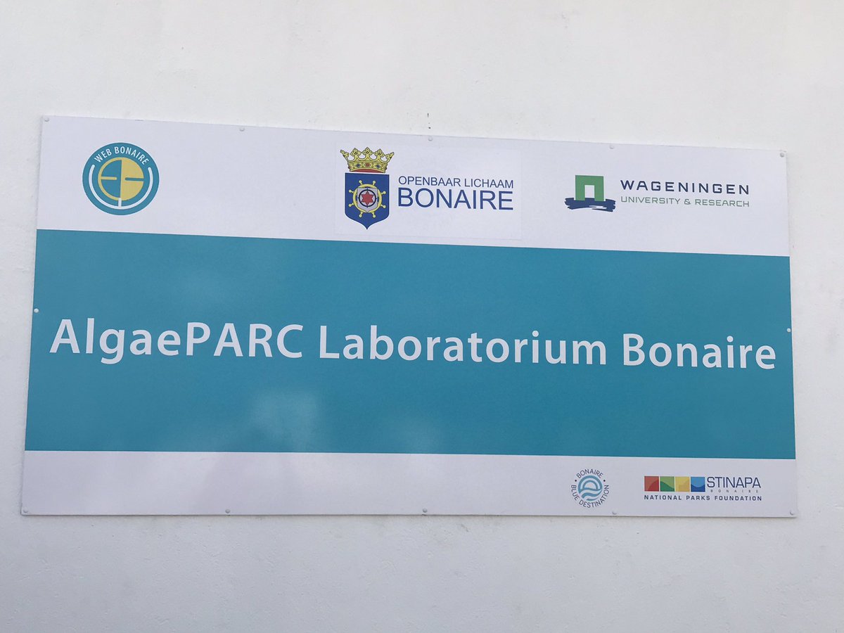 So cool to see this development of the algaepark on Bonaire! Such an innovative and sustainable project, which even stimulates the braingain, giving people from Bonaire the chance to come back to the island and get their PHD! Pabien WEB, <a href="/WUR/">Wageningen U&R</a>, STINAPA and OLB! #bluedestination