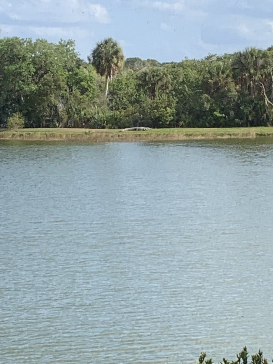 Wubano's tweet image. I know it maybe hard to see so zoom in this was across the lake of a customers house today that’s a biggen #WorkFlo #FloridaLife