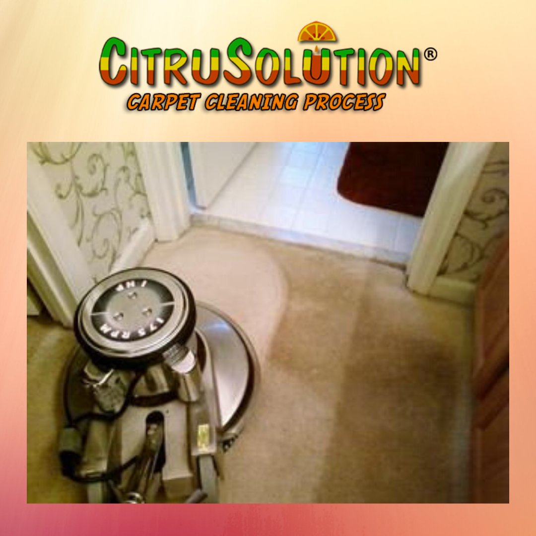 citrusolution1's tweet image. There&apos;s no denying that Citrusolutions is the only solution for your carpet cleaning needs! 

🍊 #citrusolutions #cleancarpet #freshhome #nofilter