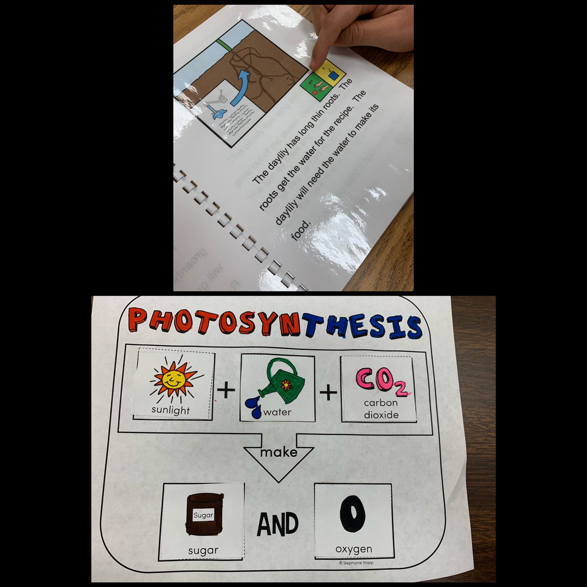 Courtney Ray tweet media