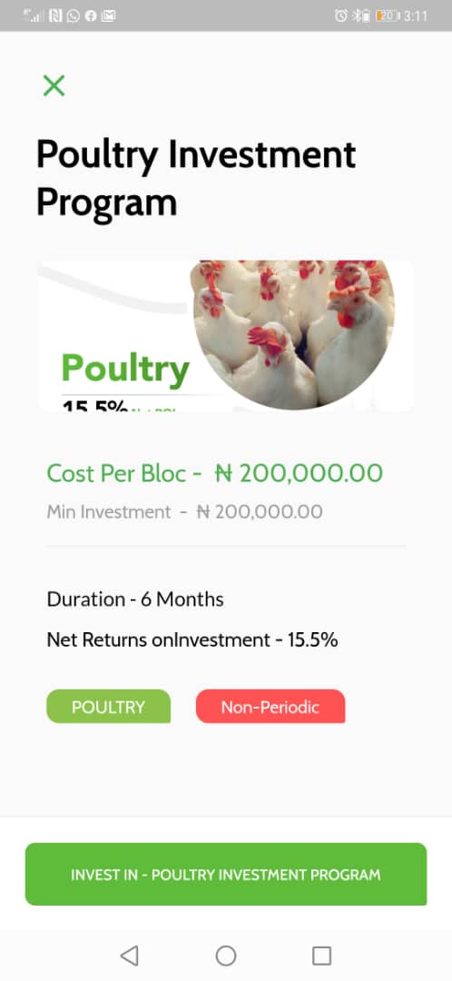 AkinbodeJoy's tweet photo. #NFGCSPoultry Investment is available on both Android and iOs platforms via the NFGCApp https://t.co/jNBmYEW4oA