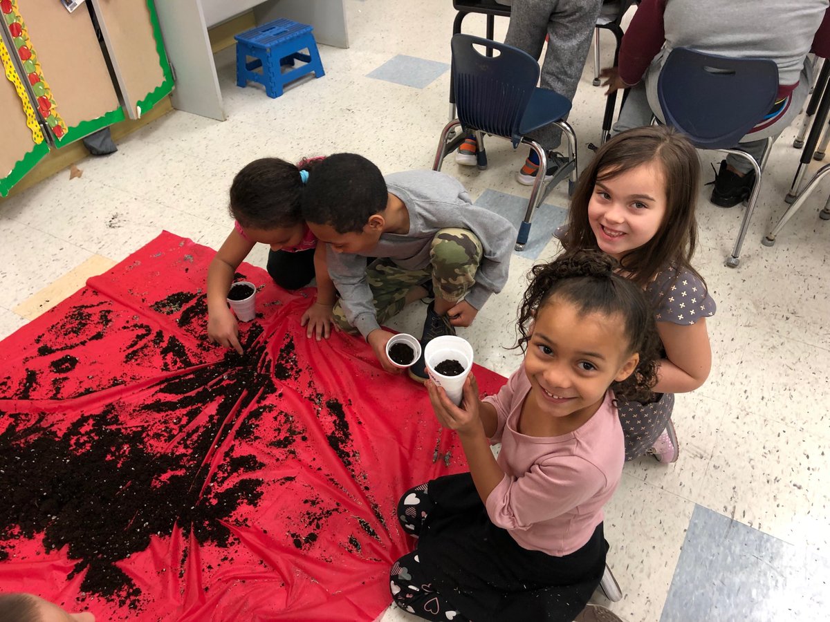 PattyFrancis15's tweet photo. Room 219 did some planting today for Spring! This activity goes with a story they read in reading@RSDRAMS@ringgoldsouth https://t.co/c8mBSRtGSq