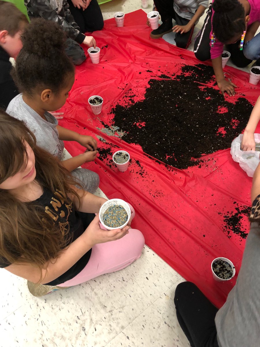 PattyFrancis15's tweet photo. Room 219 did some planting today for Spring! This activity goes with a story they read in reading@RSDRAMS@ringgoldsouth https://t.co/c8mBSRtGSq