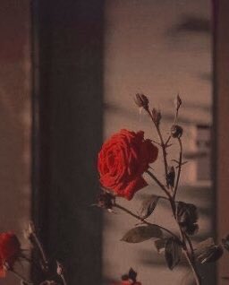 ynspidr's tweet photo. ᨳ Female idols as angels;; a thread https://t.co/DyyqgLG1ZC