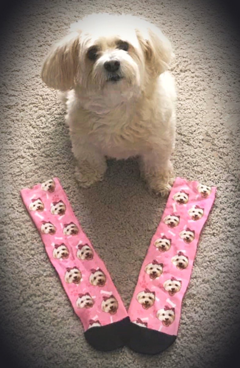 If you have socks with your pic on it, does it mean that you are a celebrity? Im not asking for me...I’m just asking for a friend! 🤣🤣🤣🤣
#PhotoChallenge2020March #socks #dogsoftwitter #dog #cuteandiknowit #celebritystatus #wannabe #tuesdayvibes