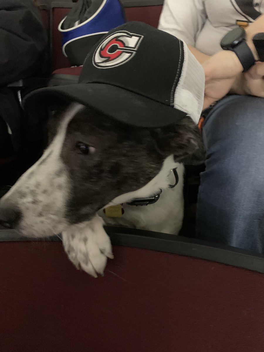 BlueTheAussie1's tweet photo. @CincyCyclones  thanks for a great night at Pucks n Pups. https://t.co/EtsDUeLEuo