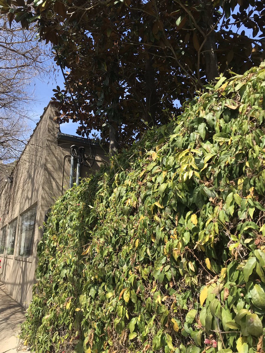 Jacqmait's tweet photo. Midday meditation @ my second home The Refuge in Dallas 🧘🏽‍♀️ #Springbreak #springbreakforLIFE #lifeschool @Life_Eagles https://t.co/7HkodaUpPz