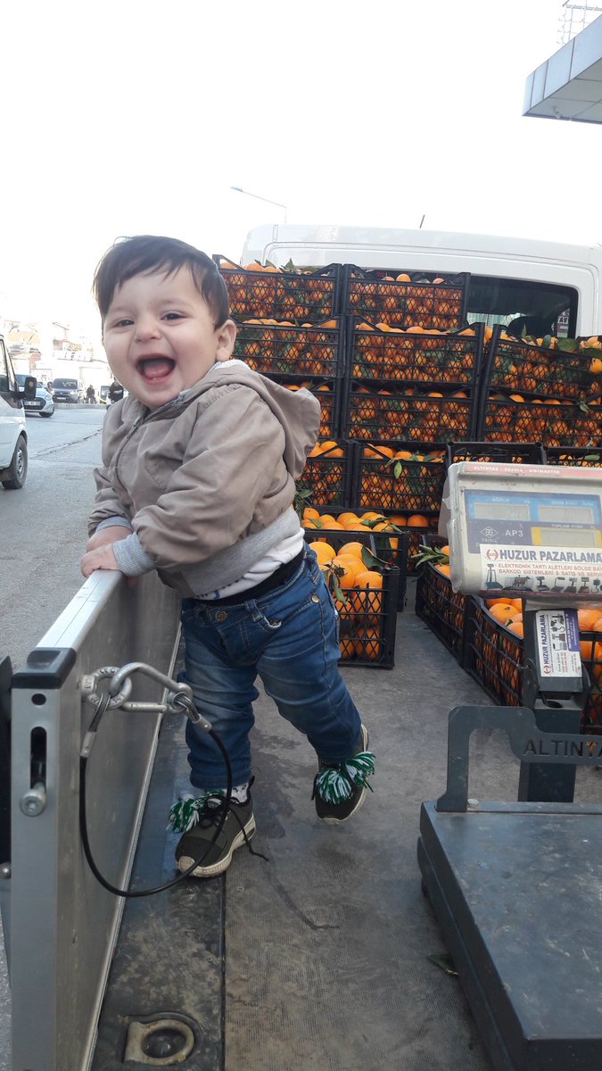 Werin mandalina werin mandalînê erzan