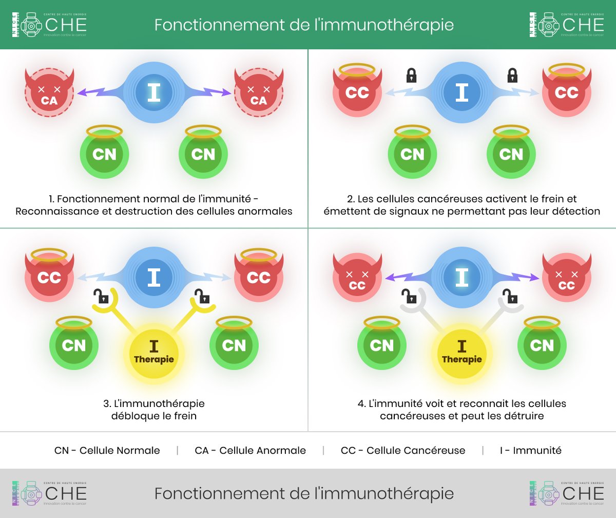 Как работает иммунитет. Атака иммунитета на бациллу. Механизм врожденного иммунитета схема. Механизм врожденного иммунитета схема. Атака иммунитета на бациллу.