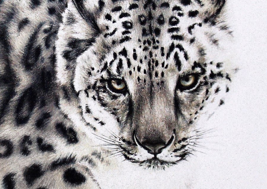 KufflerSarah's tweet photo. i am once again asking for your support because i’m still working on being confident in showing my art 
insta: @semk_art24 https://t.co/xtbJdKHHc9
