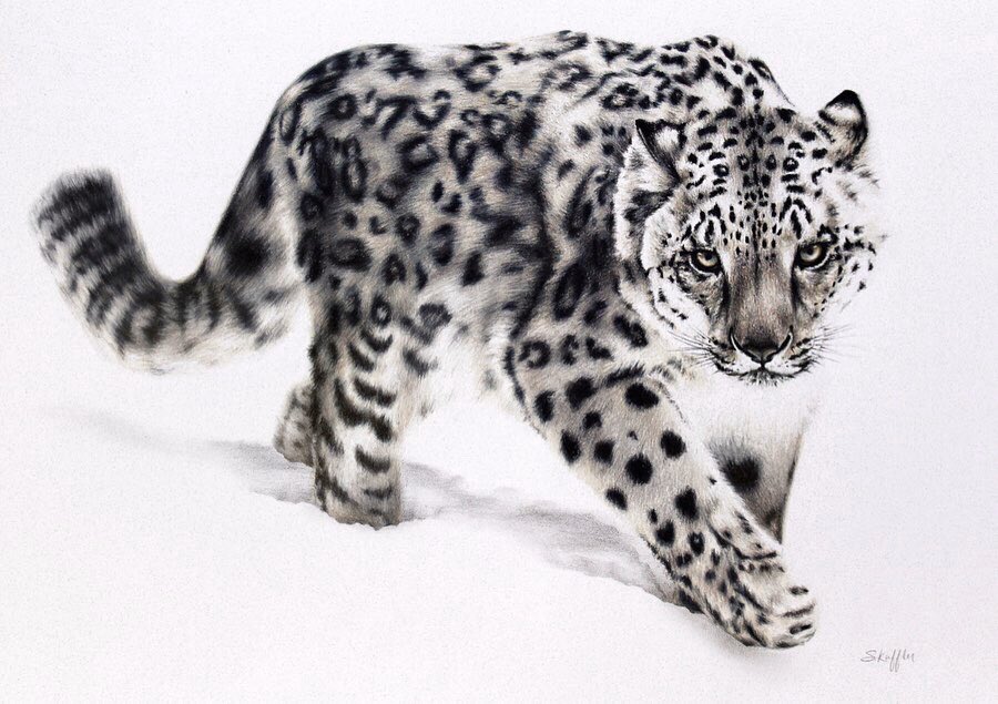 KufflerSarah's tweet photo. i am once again asking for your support because i’m still working on being confident in showing my art 
insta: @semk_art24 https://t.co/xtbJdKHHc9