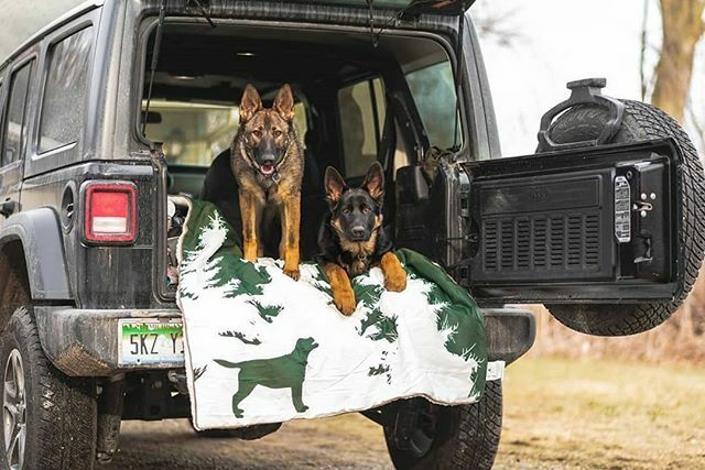 @jeepindogs tweet media
