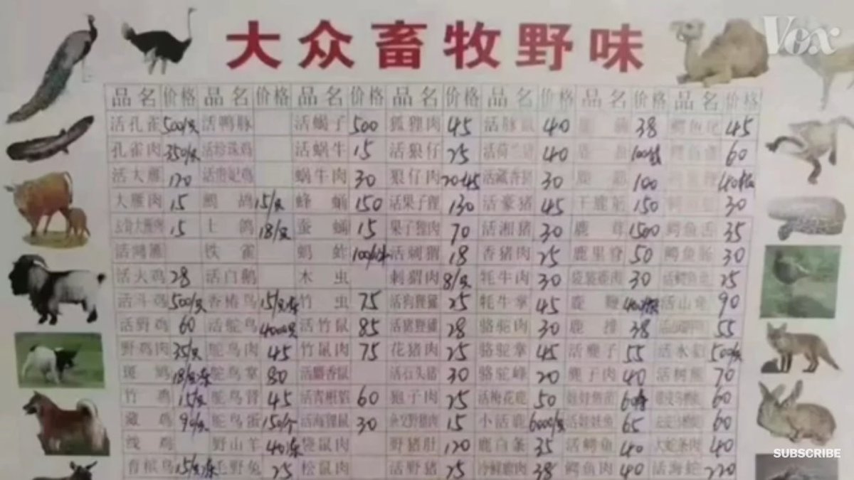 JugSci's tweet photo. An interesting video about Chinese “wet markets” and the potential source of Covid-19. https://t.co/hwvZilG69e NB: I’m not a specialist so I can’t vouch for the accuracy of this material. If this is incorrect please let me know and I’ll delete it. https://t.co/TR7OR8EYfb